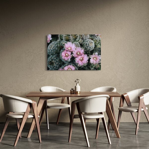 Slika cvijeta kaktusa (90x60 cm)