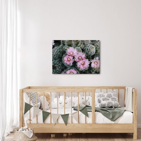 Slika cvijeta kaktusa (70x50 cm)