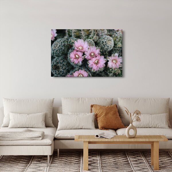 Slika cvijeta kaktusa (90x60 cm)