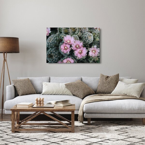 Slika cvijeta kaktusa (90x60 cm)