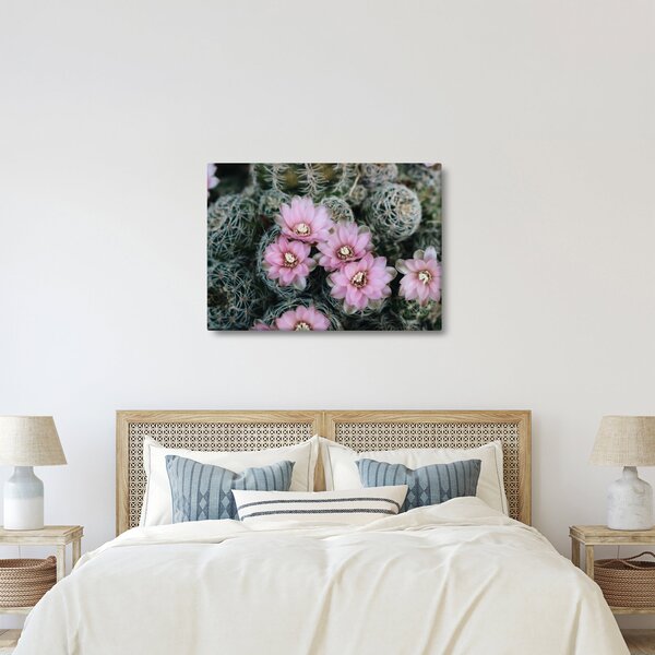 Slika cvijeta kaktusa (70x50 cm)