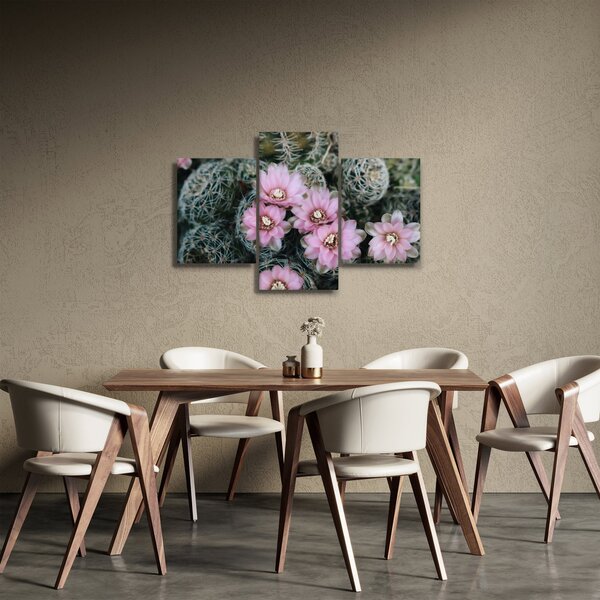 Slika cvijeta kaktusa (90x60 cm)