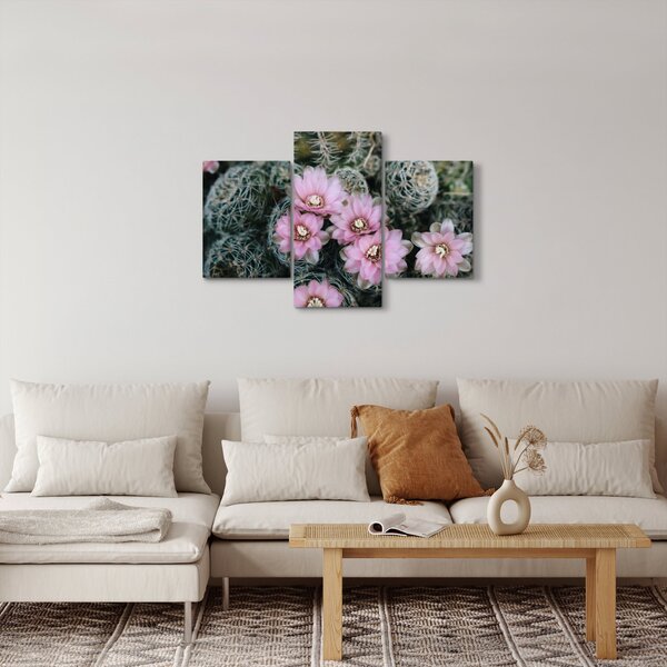 Slika cvijeta kaktusa (90x60 cm)