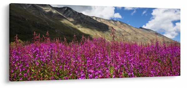 Slika pejzaža planinske livade (120x50 cm)