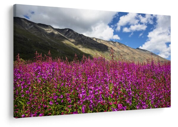 Slika pejzaža planinske livade (90x60 cm)