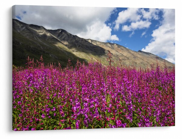 Slika pejzaža planinske livade (70x50 cm)