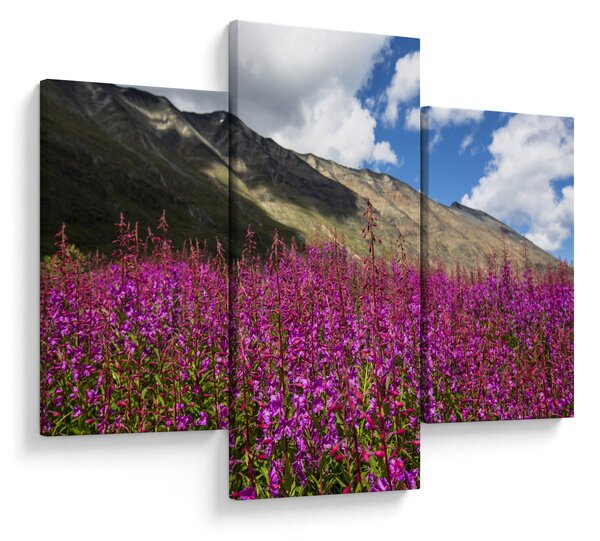 Slika pejzaža planinske livade (90x60 cm)