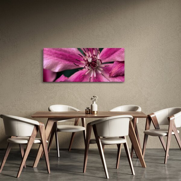 Slika ružičastog cvijeta klematisa (120x50 cm)