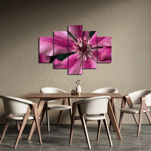 Slika ružičastog cvijeta klematisa (150x105 cm)