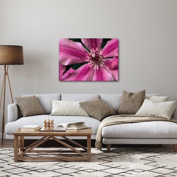 Slika ružičastog cvijeta klematisa (70x50 cm)