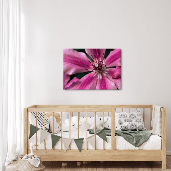 Slika ružičastog cvijeta klematisa (70x50 cm)