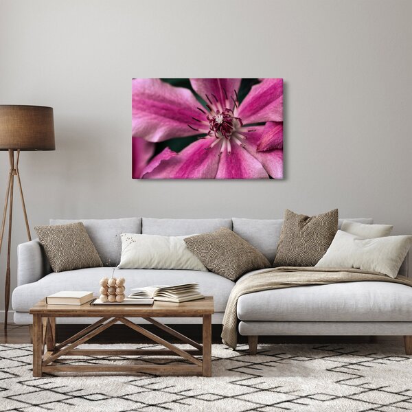 Slika ružičastog cvijeta klematisa (90x60 cm)