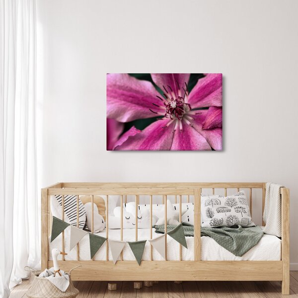 Slika ružičastog cvijeta klematisa (90x60 cm)