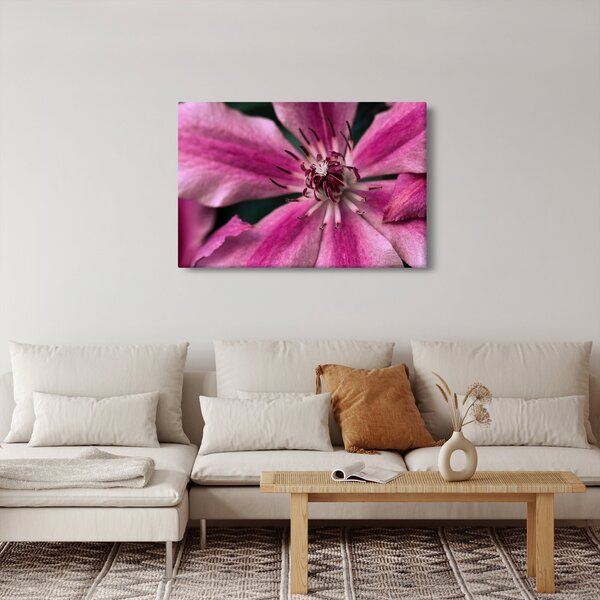 Slika ružičastog cvijeta klematisa (90x60 cm)