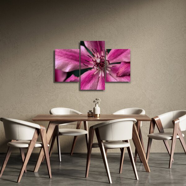 Slika ružičastog cvijeta klematisa (90x60 cm)