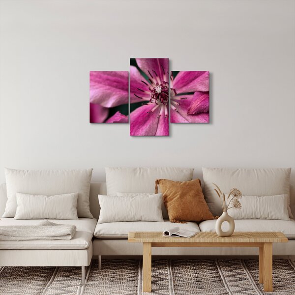 Slika ružičastog cvijeta klematisa (90x60 cm)