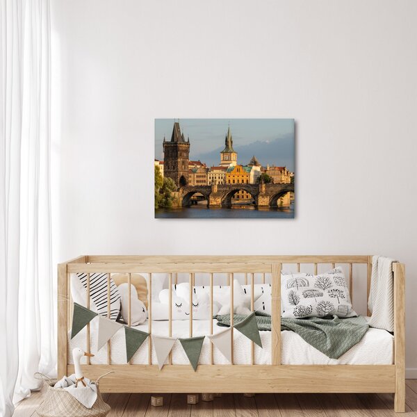Slika - Karlov most (70x50 cm)