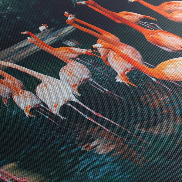 Slika jata flaminga (90x60 cm)
