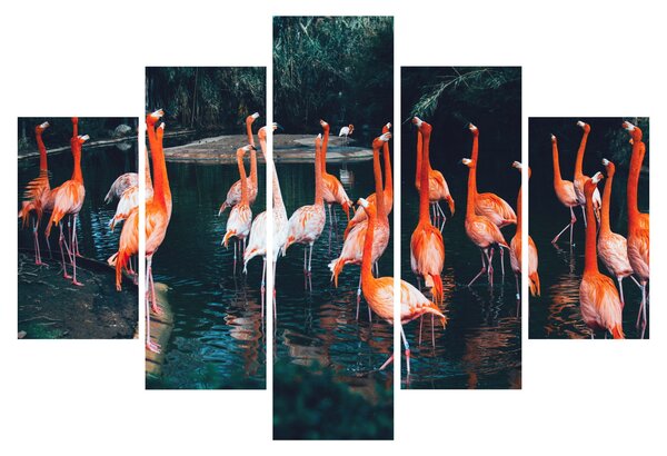 Slika jata flaminga (150x105 cm)