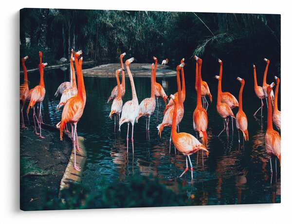 Slika jata flaminga (70x50 cm)