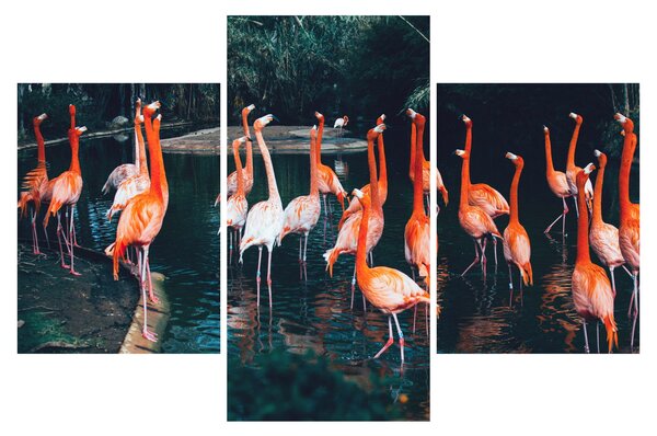 Slika jata flaminga (90x60 cm)