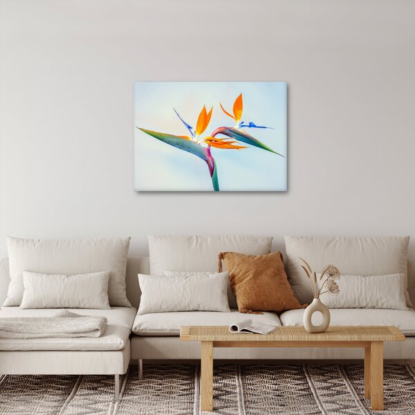 Slika cvijeta Strelicije (70x50 cm)