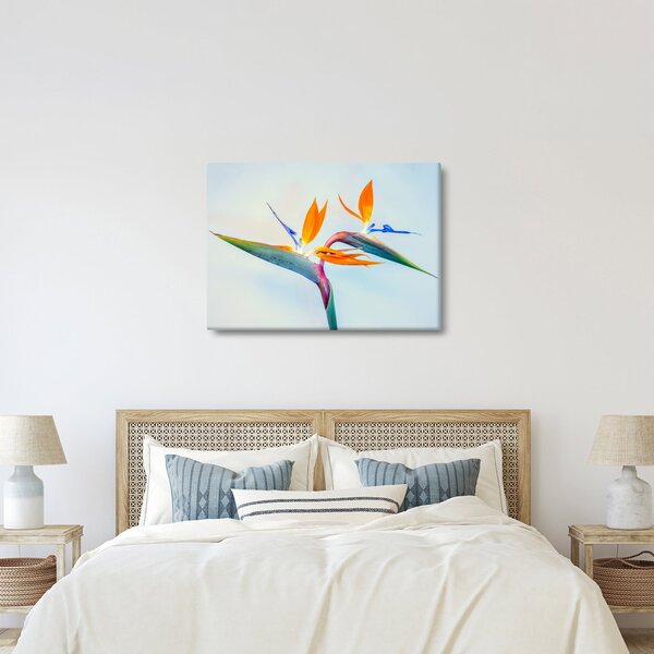 Slika cvijeta Strelicije (70x50 cm)