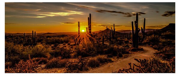 Slika - Kraj dana u pustinji Arizona (120x50 cm)
