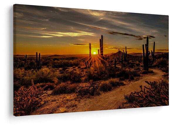 Slika - Kraj dana u pustinji Arizona (90x60 cm)