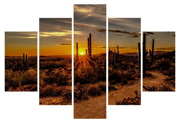 Slika - Kraj dana u pustinji Arizona (150x105 cm)