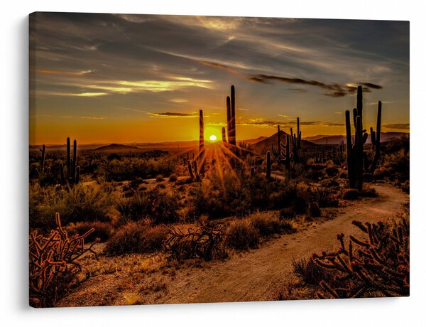 Slika - Kraj dana u pustinji Arizona (70x50 cm)