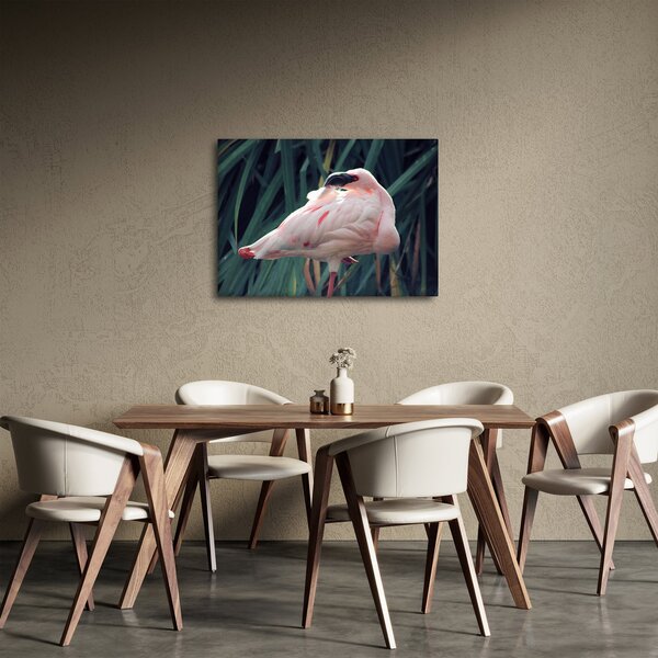 Slika - Flamingo (70x50 cm)