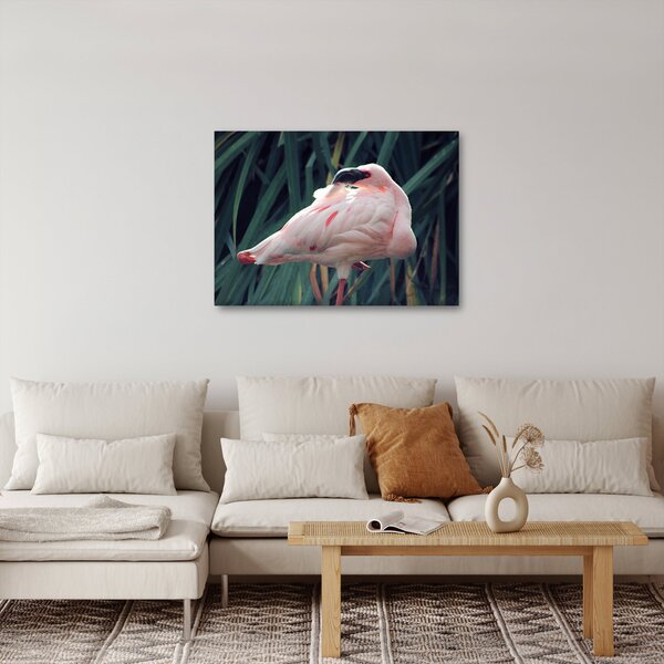 Slika - Flamingo (70x50 cm)