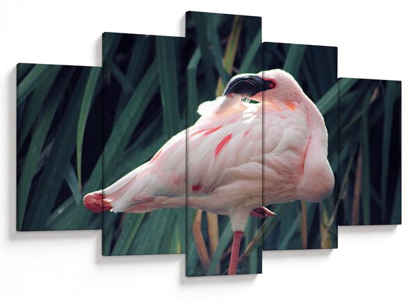 Slika - Flamingo (150x105 cm)