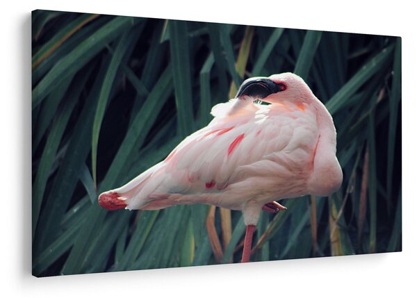 Slika - Flamingo (90x60 cm)