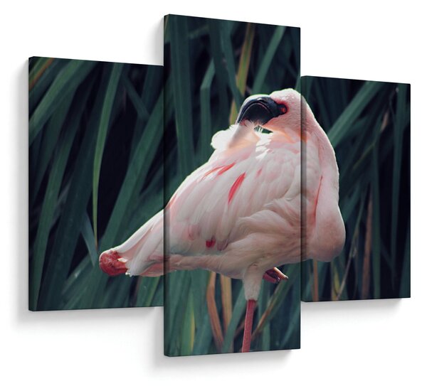 Slika - Flamingo (90x60 cm)