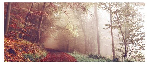 Slika - Jesenja šetnja šumom (120x50 cm)