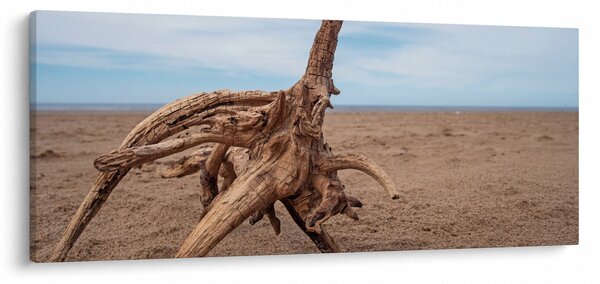 Slika - Naplavine iz mora (120x50 cm)