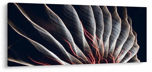 Slika - Svjetlosno pražnjenje (120x50 cm)