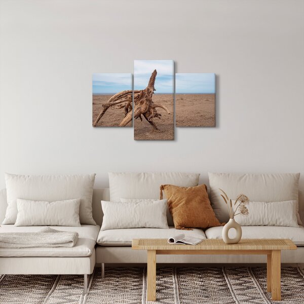 Slika - Naplavine iz mora (90x60 cm)