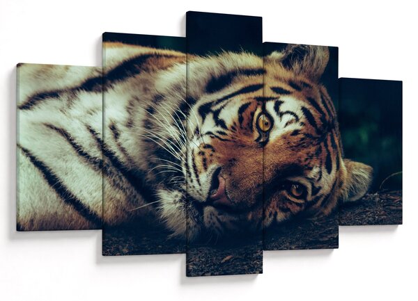 Slika - Sibirski tigar (150x105 cm)