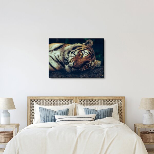 Slika - Sibirski tigar (70x50 cm)