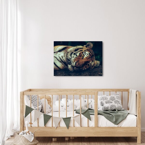 Slika - Sibirski tigar (70x50 cm)