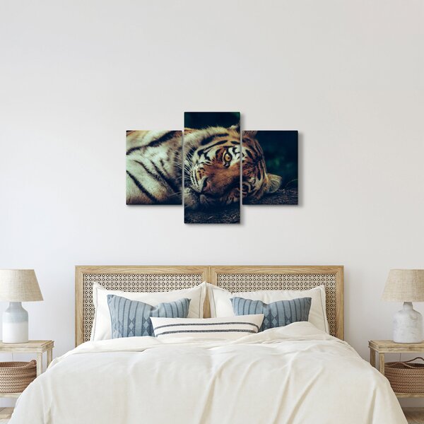 Slika - Sibirski tigar (90x60 cm)
