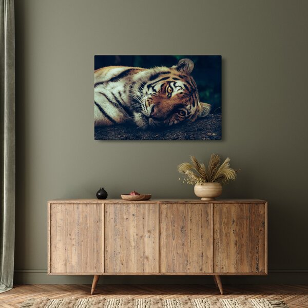 Slika - Sibirski tigar (90x60 cm)