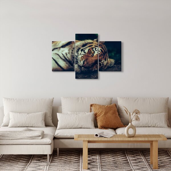 Slika - Sibirski tigar (90x60 cm)