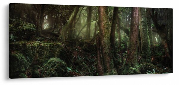 Slika - Tajanstvena šuma (120x50 cm)