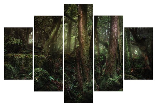 Slika - Tajanstvena šuma (150x105 cm)