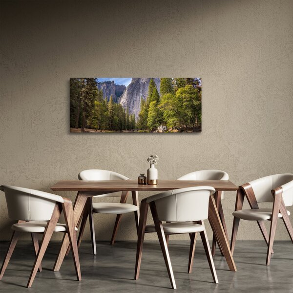 Slika - Ispod Josemitske stijene (120x50 cm)