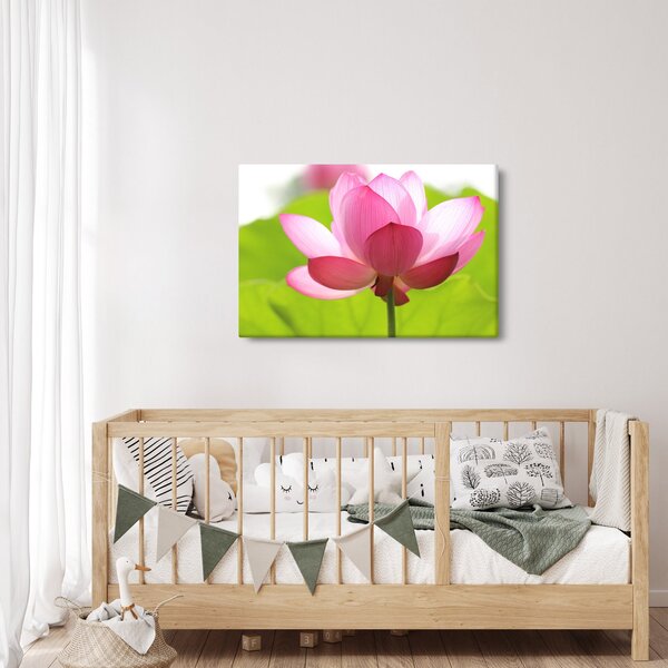 Slika cvijeta lotosa (90x60 cm)